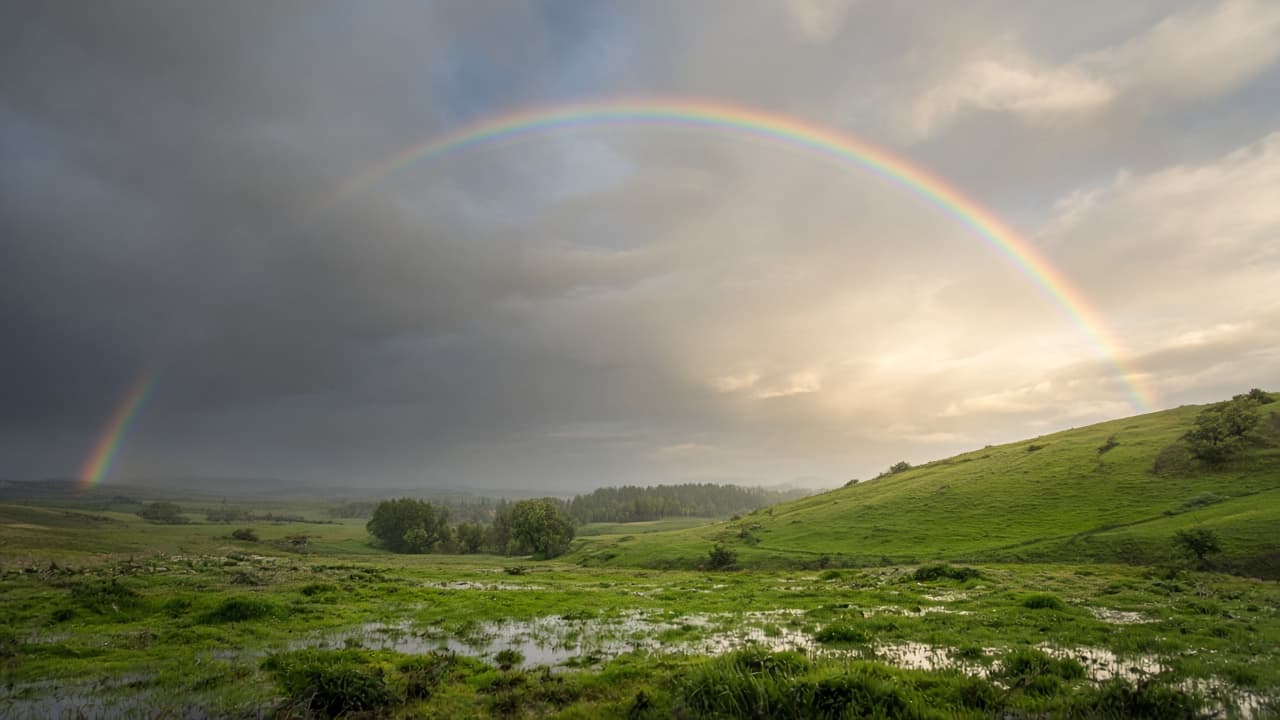 A rainbow in a dream