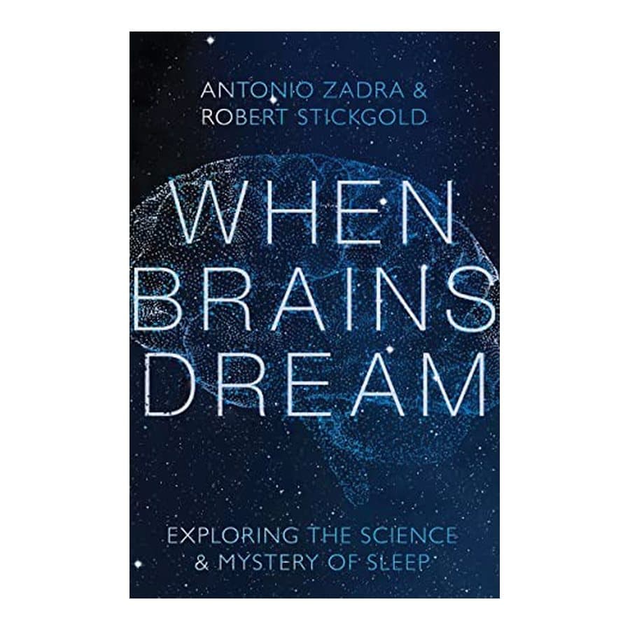When Brains Dream