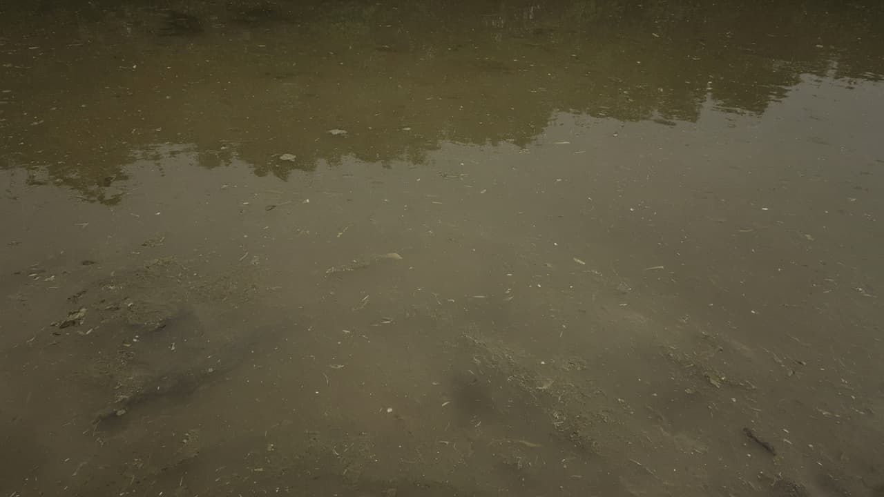 Murky dirty water with no visible bottom in a dream
